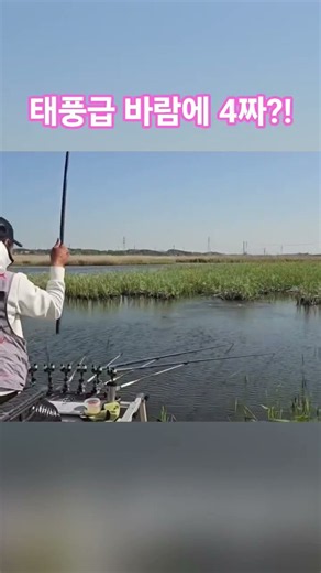 Fishing rod bending like crazy in typhoon-level winds!! 40cm+ catch?!