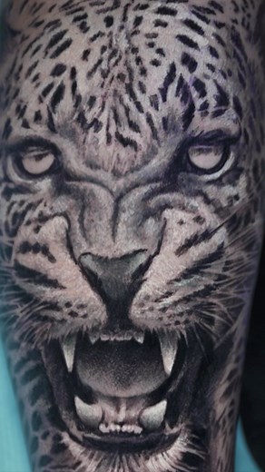 43K views · 440 reactions |  Excited to share my stunning new leopard tattoo!  Thanks to the incredibly talented master artist, @darwinenriquez , who specializes in B&G Realism.  If you’re looking for jaw-dropping artistry, I highly recommend booking an appointment with him.  Don’t miss out on the chance to get your dream tattoo turned into a masterpiece!  #LeopardTattoo #BlackAndGreyRealism #TattooMasterpiece #inknationstudio | Inknation Studio | Facebook