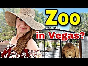 Looking for Something Else To Do? LAS VEGAS has a ZOO. #zoolife 🦁🦒🦙
