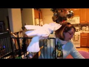 Woman and Cockatoo argue over stuff