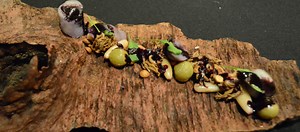 Cocina mapuche: sus increíbles sabores y propiedades medicinales