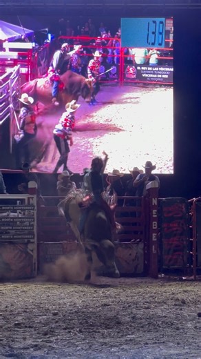 El XV RODEO presente en el Ahuestern Country Fest en Monterrey Nuevo León, excelentes toros 🐂📹 #cowboy #mexico #rodeo | Pedro Castor Rodeo