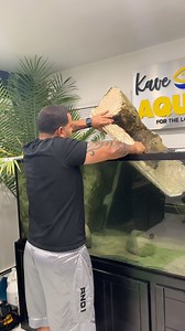 6.8K views · 1.3K reactions | I want to make something very clear....