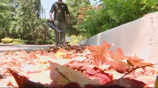 Leaf blowers continue to be banned across the DMV