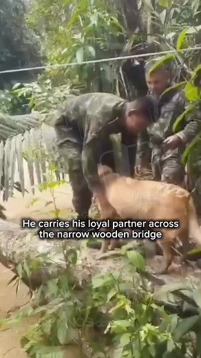 Understanding the Bond Between Dogs and Their Humans