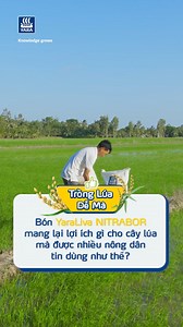 LỢI ÍCH CỦA YaraLiva NITRABOR CHO CÂY LÚA 👉 Bà con đã biết chưa? Hãy cùng Yara tìm hiểu ngay nhé! ☎️ Liên hệ Facebook Yara Vietnam hoặc qua các kênh: - Tiktok: https://www.tiktok.com/@yaravietnam - Youtube: https://www.youtube.com/@YaraVietnam - Zalo: https://zalo.me/yaravietnam #yara #yaravietnam #lua | Yara Vietnam