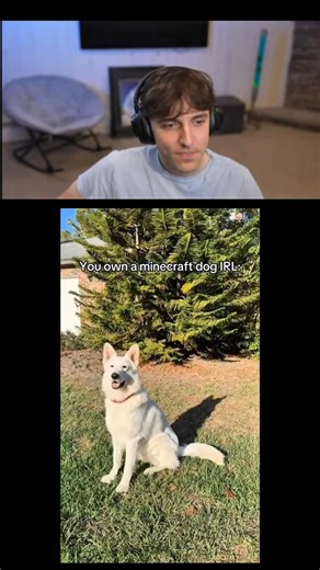 Real Minecraft Dog in Real Life 🐶 Minecraft Wolf IRL! #shorts