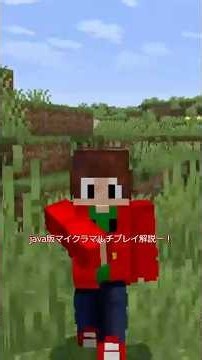 🌐 【Minecraft Java版】もう迷わない！過去の私が死ぬほど欲しかった「マルチプレイ完全導入ガイド」 🌐#minecraft #minecraftshorts #ymm4