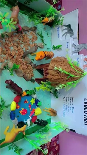 human evolution project