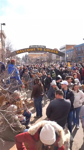 Goldens in Golden, Colorado. #goldenretriever #golden #goldencolorado #colorado #foryoupageシ #fyp #goldenretrieverlife