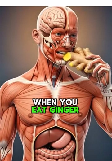 Health Benefits of Eating Ginger for Your Body