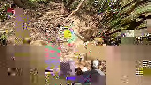 48K views · 1.2K reactions | Petite technique de descente et choses à éviter lors d'une descente en randonnée(surtout cascades)⚠️ | Thomson Adventures | Facebook