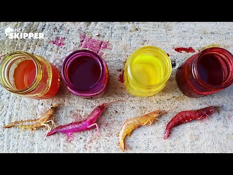 Making NEON LIVE SHRIMP! Best Bait?? (Fishing Experiment)