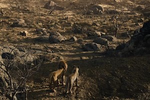 58M views · 3.1M reactions | #hollywood #marvelcomics #marvel #marvelmovies | Trending 315 | Facebook