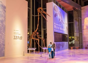 Dr. Thomas Adams, Curator of Paleontology and Geology speaks about the Witte Museum's newest giant fossil, the Quetzalcoatlus northropi, a Texas pterosaur. This mounted skeleton of Quetzacoatlus measures 17 feet tall, as tall as a giraffe and had a wingspan of up to 36 feet, about the size of small private jet. Landing for a limited time. Come explore the Witte Museum this weekend! #NotADinosaur | Witte Museum
