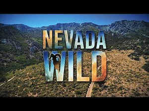 New Series Nevada Wild on Animal Planet Tuesdays 9/8 pm CT