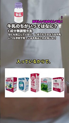 【給食で出る牛乳ってどんなの？】牛乳の種類をわかりやすく説明！📚🥛 #shorts #牛乳 #解説