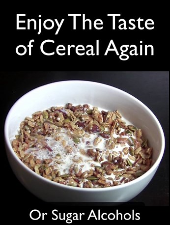 Diabetic Kitchen Cinnamon Pecan Granola Cereal - Low Carb Snacks w/Prebiotics & No Added Sugar - No Erythritol, 3 Net Carbs & Gluten-Free