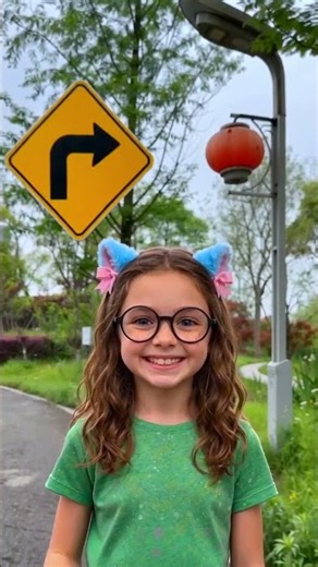 What Do Road Signs Mean? 🚸🛑🚦 #shorts
