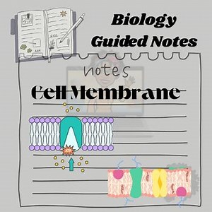 Biology Cell Membrane Online Interactive Learning Module Guided Notes