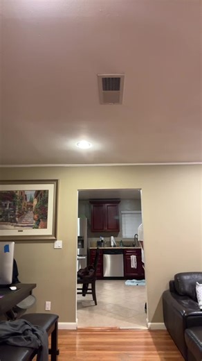 Funny Interaction with a Ninja Turtle Fan