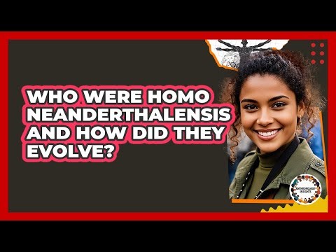 Who Were Homo Neanderthalensis And How Did They Evolve? - Anthropology Insights