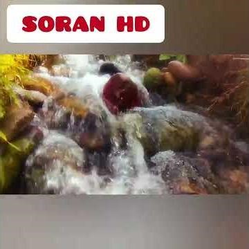 ٢١ آذار ٢٠٢٦