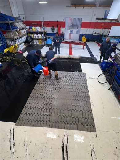 Revitalize Your Rugs: Expert Area Rug Cleaning Services