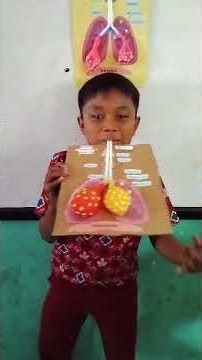 Alat peraga sistem pernapasan manusia IPAS Kelas 5