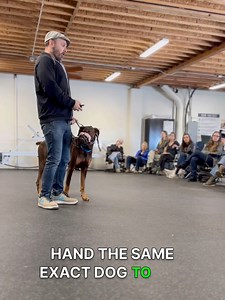 The success/failure piece that most trainers don’t even realize is part of the puzzle. We’ve all heard the multitude of owner critiques—timing issues, mechanics issues, consistency issues, emotional issues—and while all of these are often legitimate obstacles to be overcome, there’s a profound piece of the training puzzle that most trainers have no clue is even in play. There’s plenty of owners out there busting their butts; doing all the work, gaining the skills, being consistent, working on th