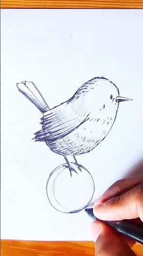 How to draw a bird - Daily sketch