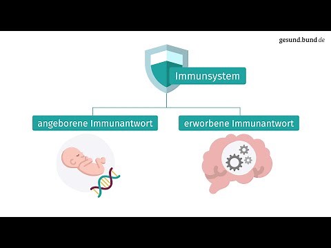 How does the immune response work?