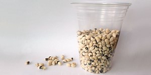 Soupy Science: Investigate How Dried Beans Absorb Water | STEM Activity
