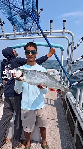 torchtimenorth on TikTok