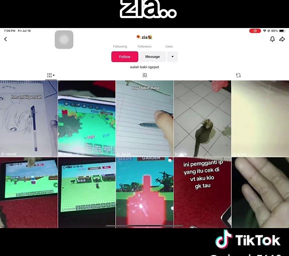 Understanding Zia: What's Happening with Zia?