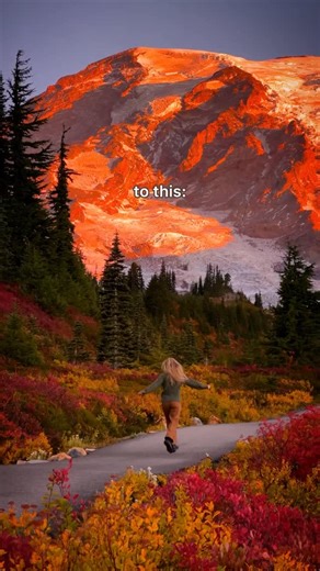 Julia Thompson on Instagram: "The biggest question I get asked is how I edit my videos, so here is how you can edit your autumn clips in under 30 seconds!! 🍂 Want to know how I edit my moody/forest clips? Comment ‘ASUS’ and I will send you a tutorial with my exact adjustments! I use the @asus_ca ProArt PX13 Laptop for all my editing, whether it’s Lightroom, Photoshop, DaVinci, CapCut and more. In this tutorial I am showing how to edit using CapCut, which I find is the most simple video software