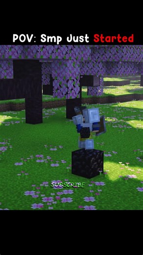 Smp Just Started #minecraft #minecraftshorts #minecraftmemes