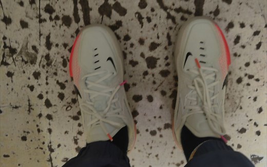 dt版本 gt cut实战初测评来了