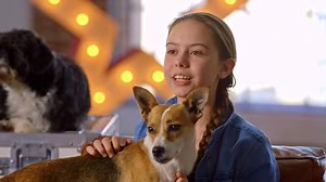 1.7M views · 2K shares | If you like adorable dogs, then Alexa Lauenburger's performance is just what you need!  #AGTChampions #AGT | America’s Got Talent Presents Superstars Live | Facebook