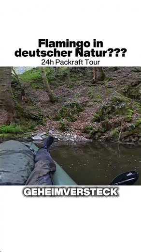 Flamingos in German nature???