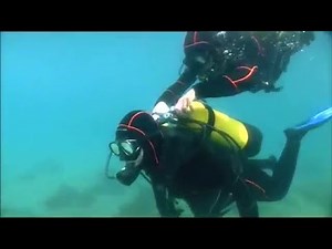 She wasn't alone underwater... - Female scuba diver attacked!