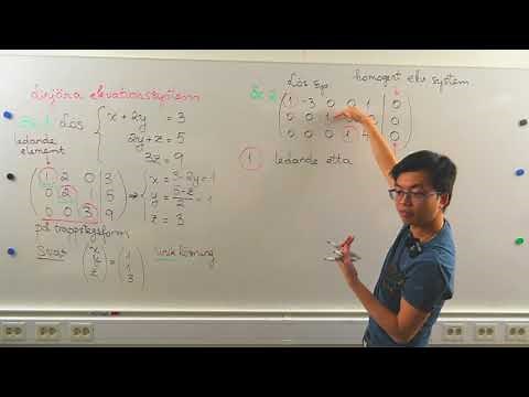 Crash Course i Algebra (1) - Linjära ekvationssystem