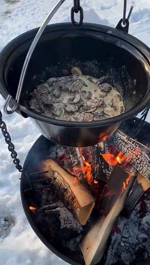 One of my favorite meals to make while in the mountains is viltgryte ‘wild stew’ with venison, chanterelles, juniper berries, and a few slices of brown cheese! So simple and so good :-). Check out my site and cookbook for recipes. ✨ | North Wild Kitchen