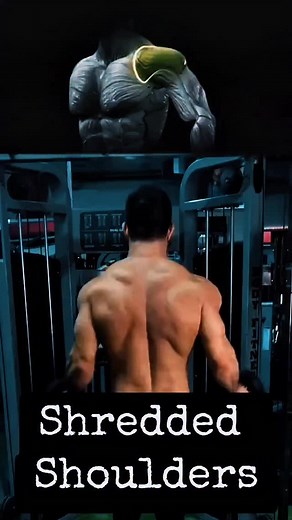 Dumbbell Shoulders Full Workout 🔥 💪 Sculpt strong, round shoulders with just dumbbells! #ShoulderDay #shoulders #shouldersworkout #dumbbellworkout #gym #fitness #bodybuilding #muscle | Bodyfitness GYM