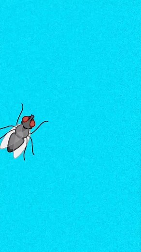 user82589980920 on TikTok