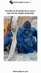 19K views · 83K reactions |  this is the last six years of my life to a T. Also, the best six years of my life. | Chris Leben | Facebook