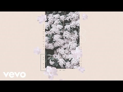 Shawn Mendes - Why (Remix - Official Audio) ft. Leon Bridges