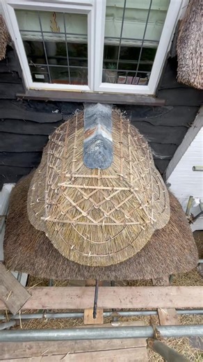 Cute little porch with a new ridge 👌🏼 #thethatchingguy #alright #porch #building #thatch #asmr #fyp #fypシ #transformation