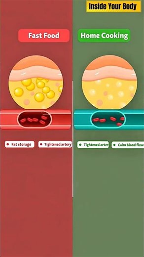 Home Cooking vs Fast Food — See What Happens Inside | 15s Science