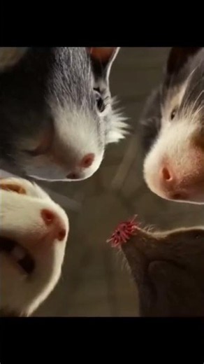 G-Force Part-2 (2009 Movie)